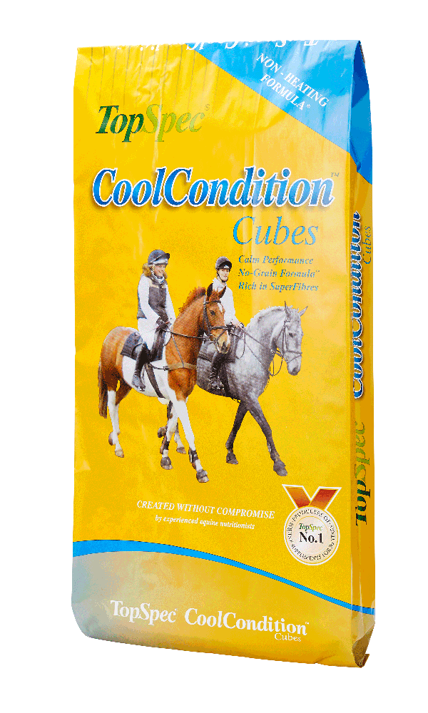 TopSpec Cool Condition Cubes (Pre-Order)