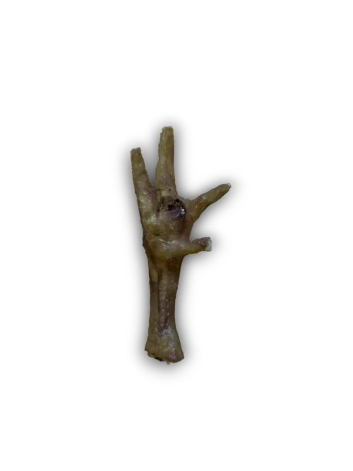 Naturals Chicken Feet