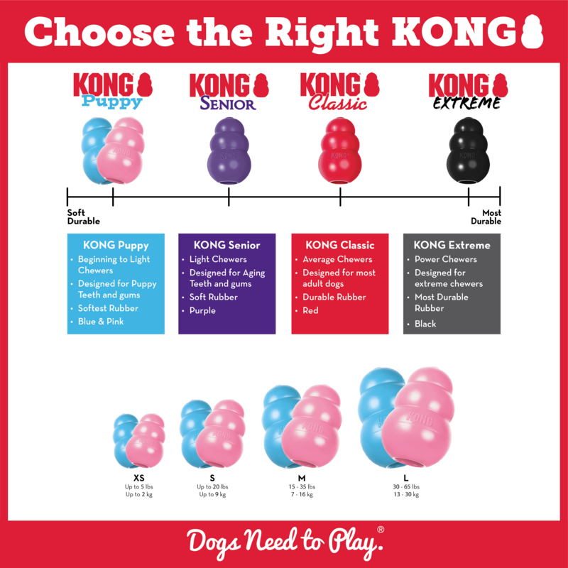 KONG Puppy Assorted, Small - Image 3