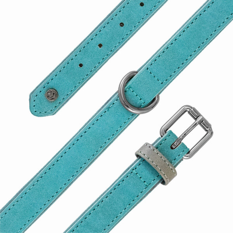 Sötnos Brights Tech Collar Teal