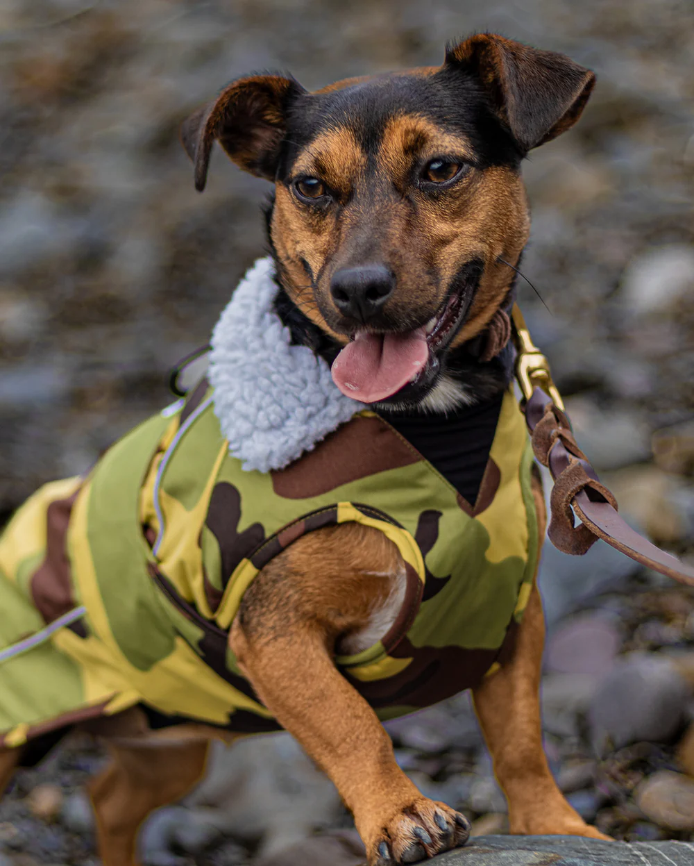 dryrobe Dog, Camo Grey