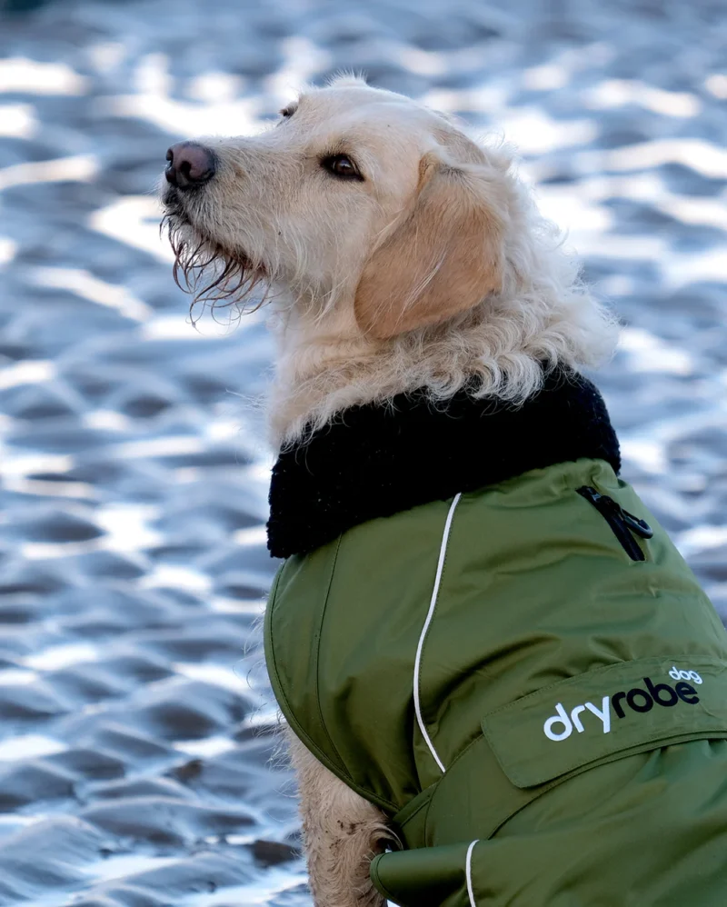 dryrobe Dog, Forest Green Black