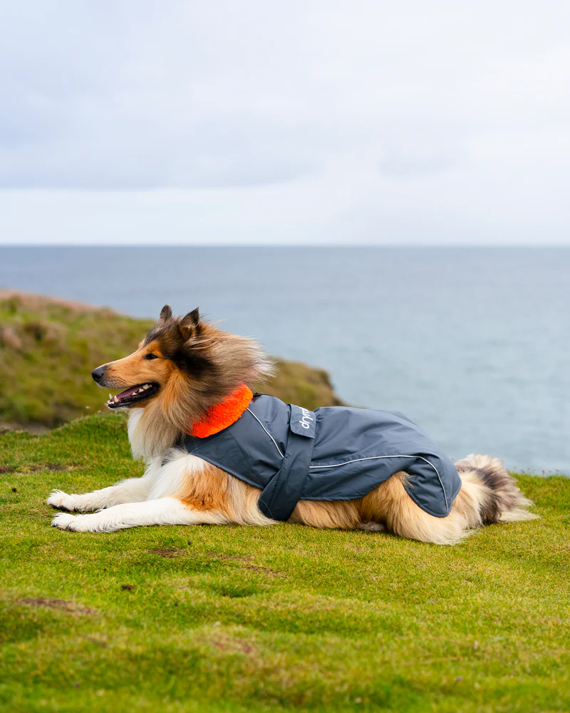 dryrobe Dog, Dark Grey Orange