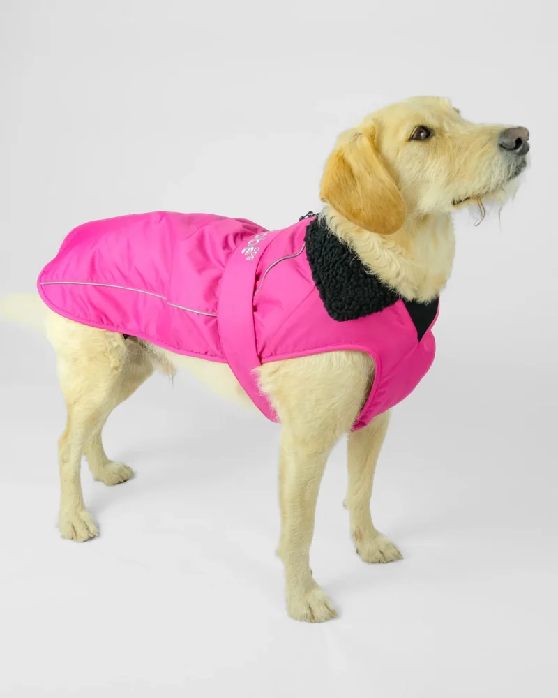 dryrobe Dog Pink, Black
