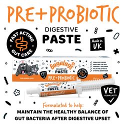 Bugalugs Digestive Pre + Probiotic Paste